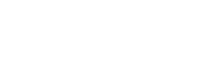 sunnyfly-logo